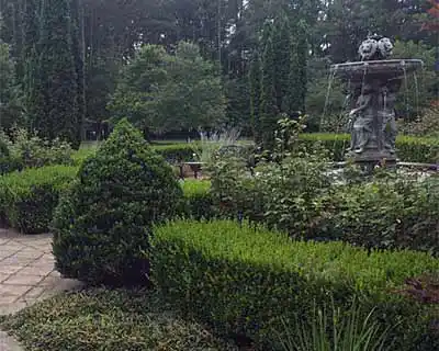 Landscape Services, Raleigh, NC