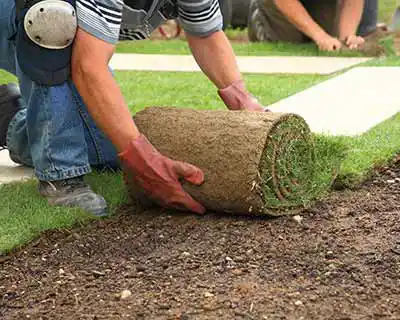 Mulch & Sod, Raleigh, NC